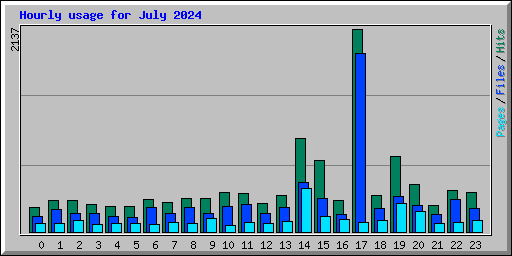 Hourly usage for July 2024