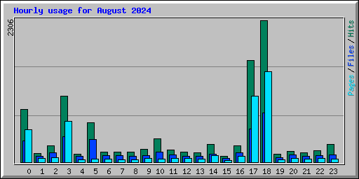 Hourly usage for August 2024