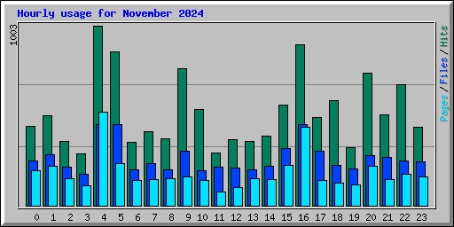 Hourly usage for November 2024