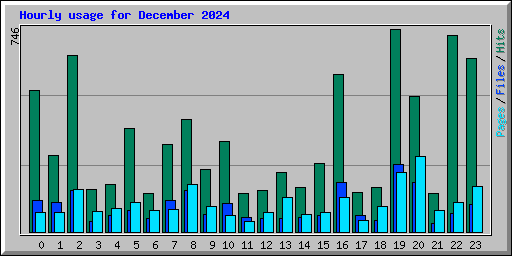 Hourly usage for December 2024