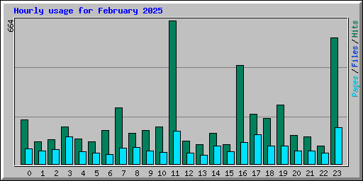 Hourly usage for February 2025